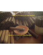 Caja de 25 Toro Habano