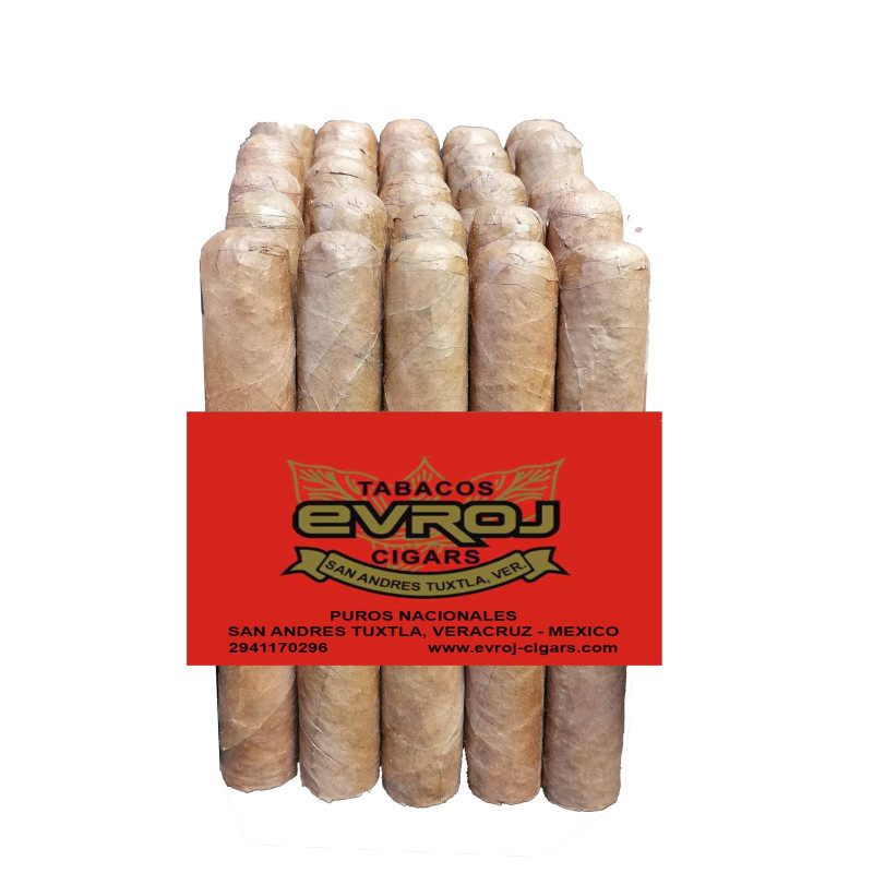 Petit Corona - Aroma Menta