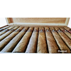 Toro Box Pressed - El Patron